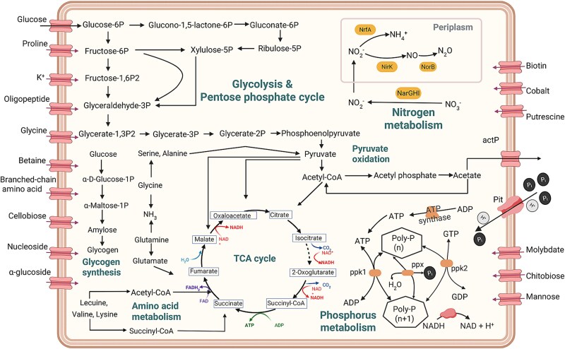 Figure 6