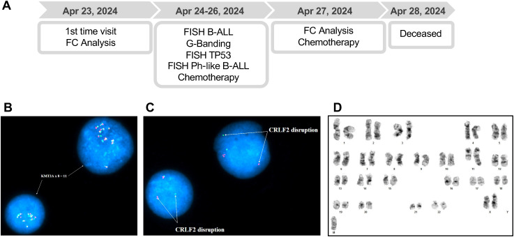 Figure 2