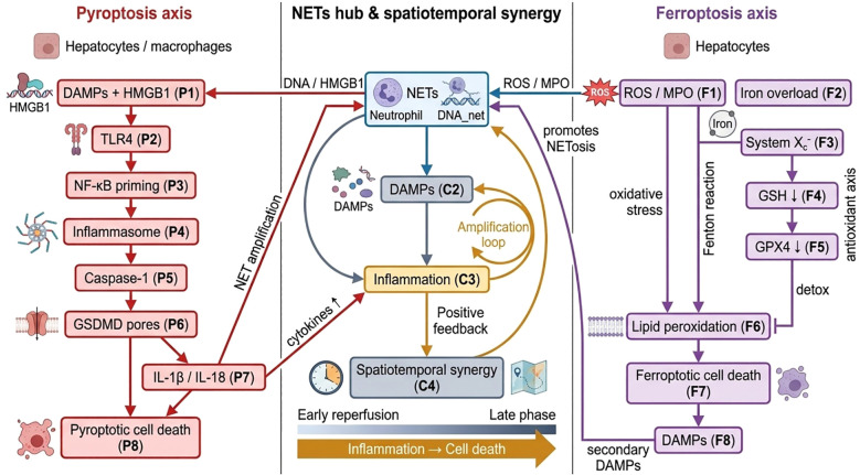 Figure 4