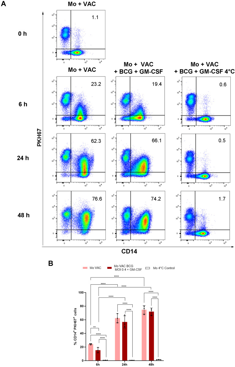Figure 3