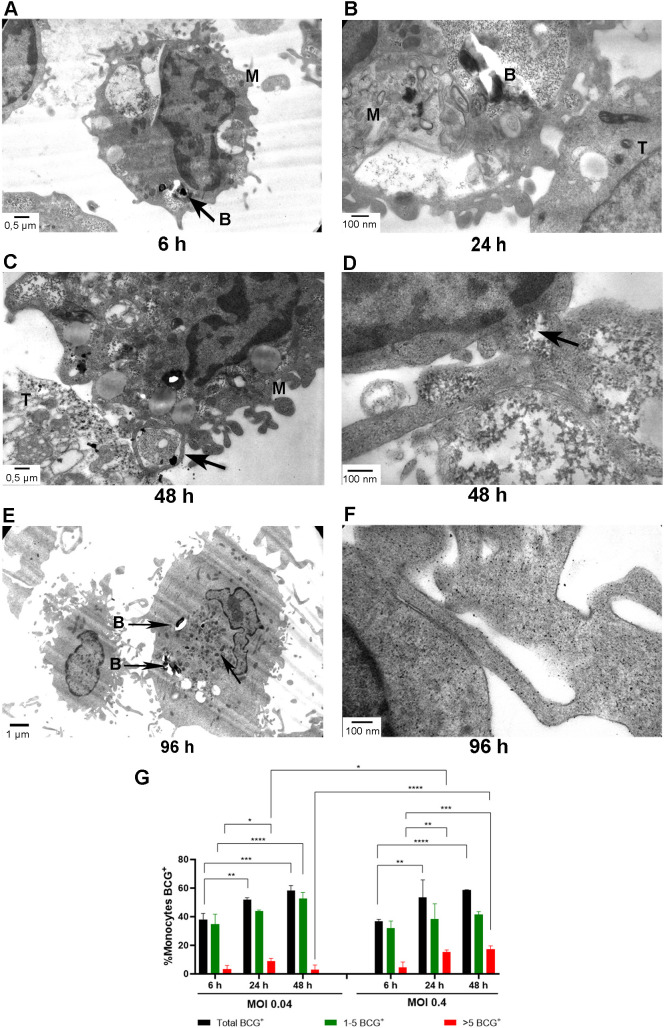 Figure 5