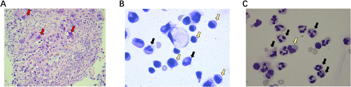 Figure 2
