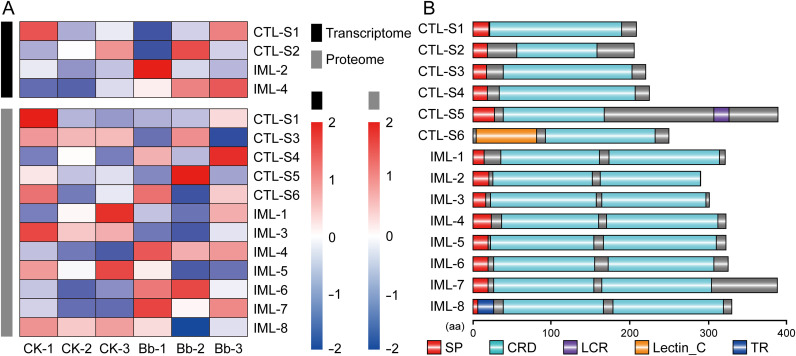 Figure 4