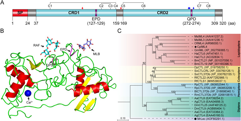 Figure 5