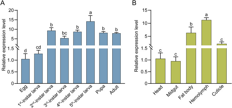 Figure 6