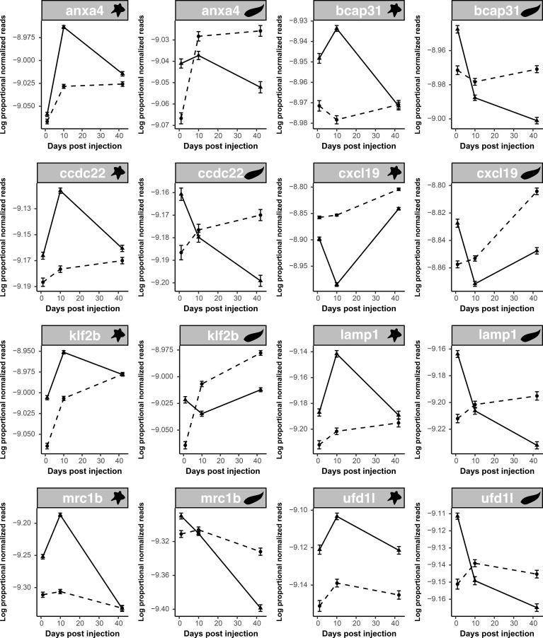 Figure 3