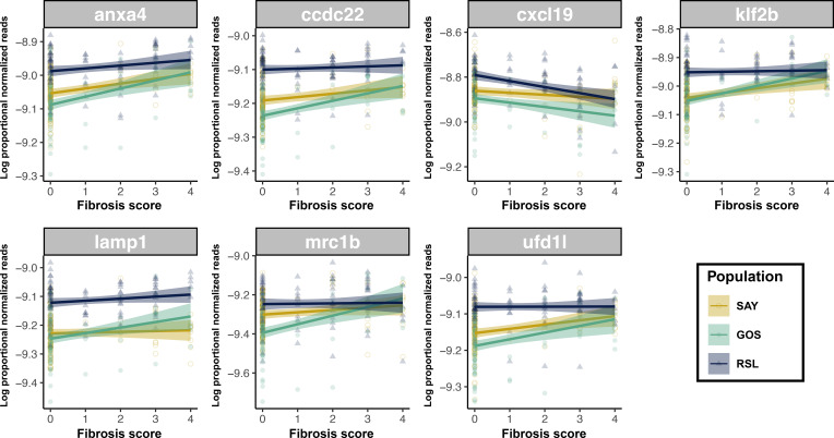 Figure 4