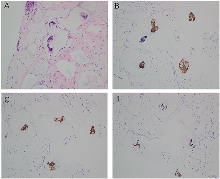 Figure 2