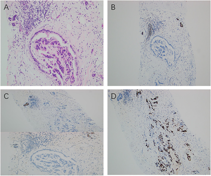 Figure 3
