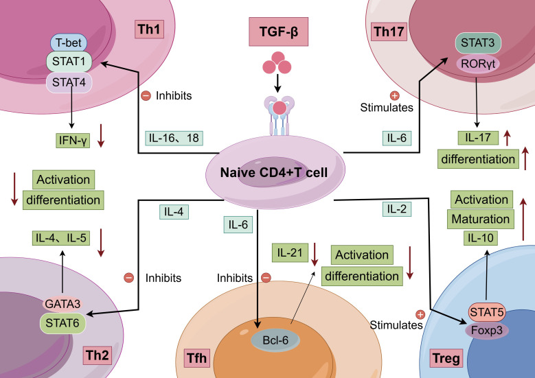 Figure 3