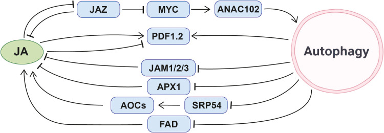 Figure 5