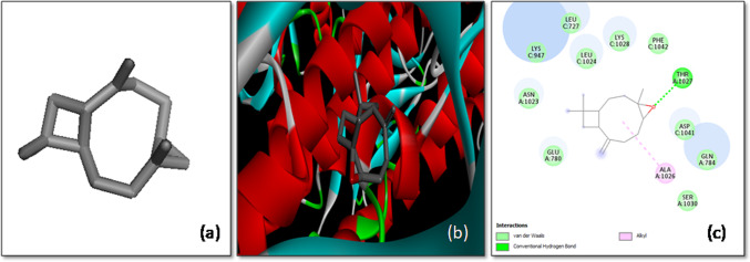 Figure 10