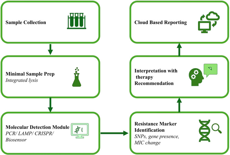 Figure 4
