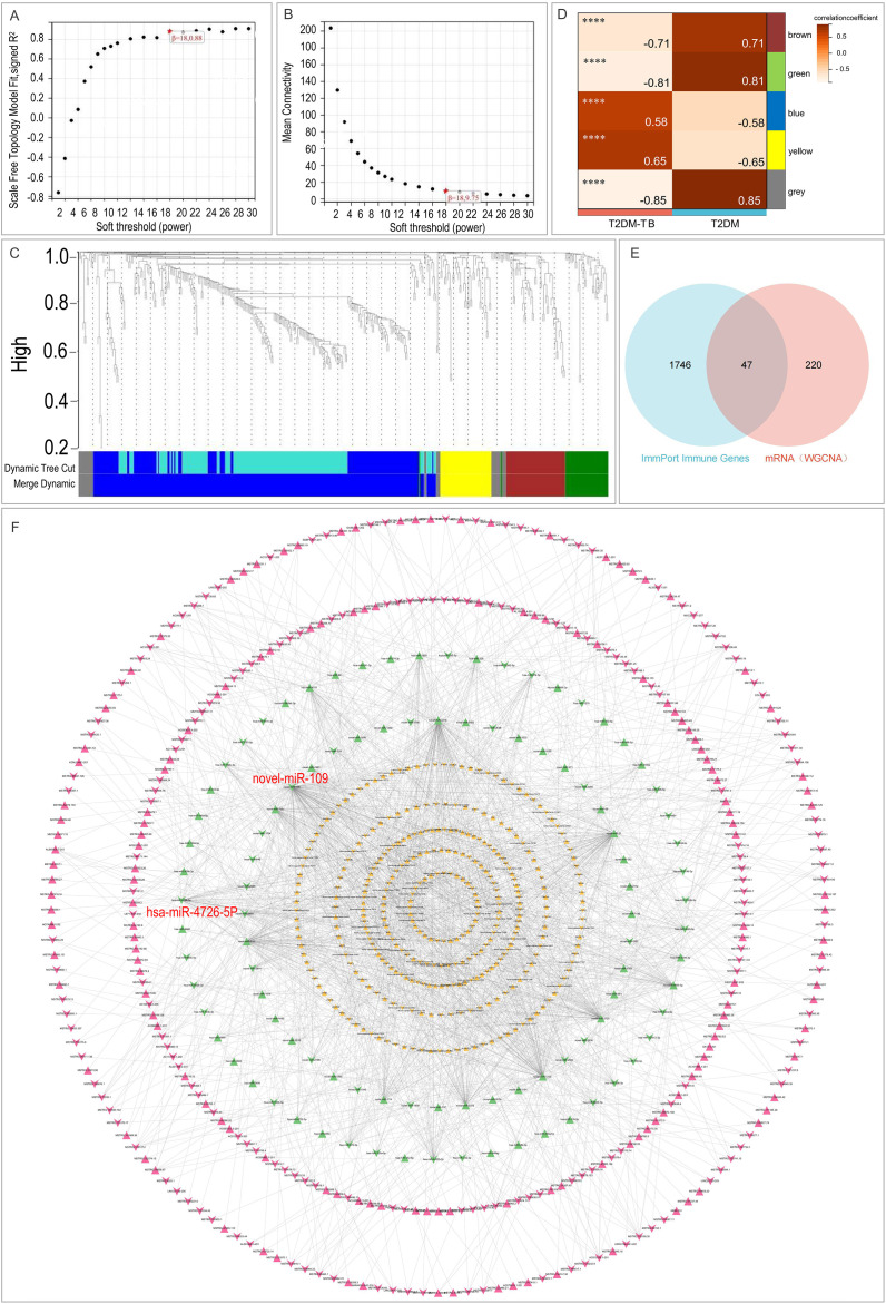 Figure 4