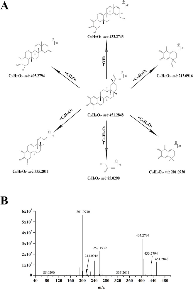 FIGURE 3