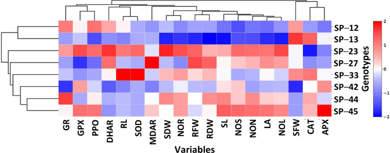 Figure 5