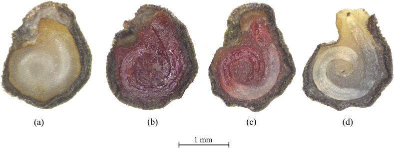Figure 2
