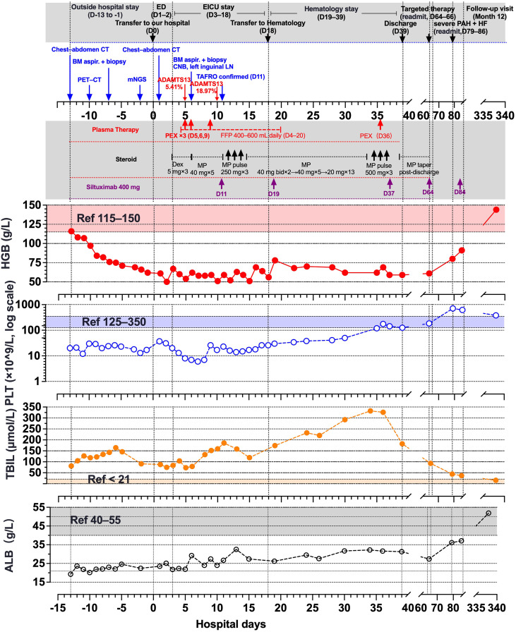 Figure 1