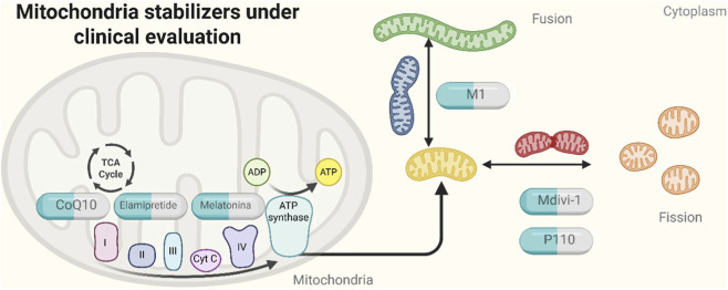 FIGURE 2