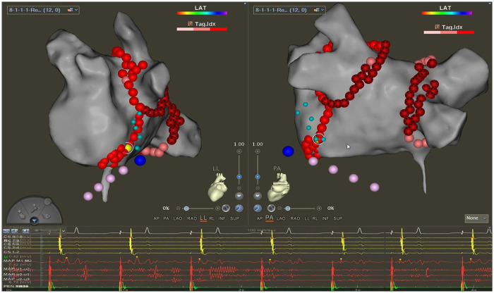 Figure 3