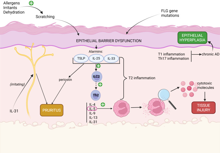 Figure 1