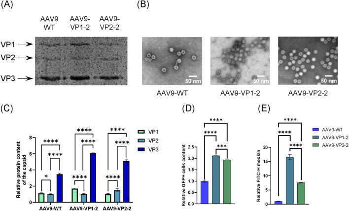 FIGURE 3