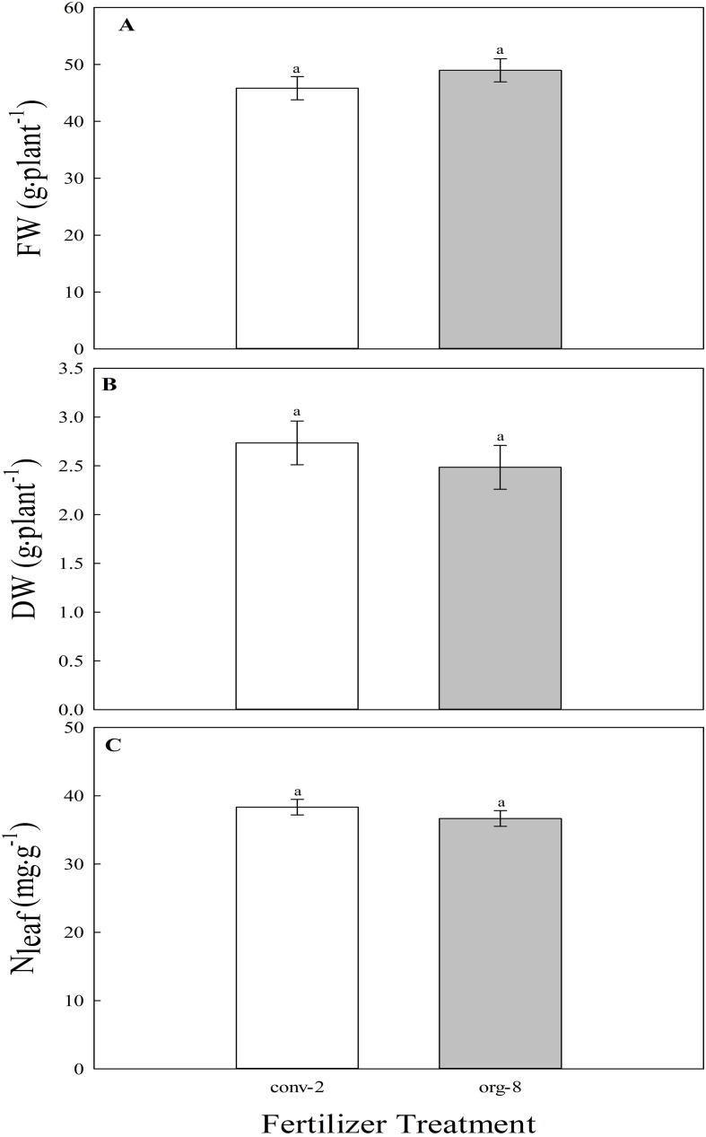 Figure 5