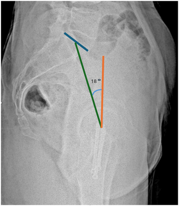 Figure 4
