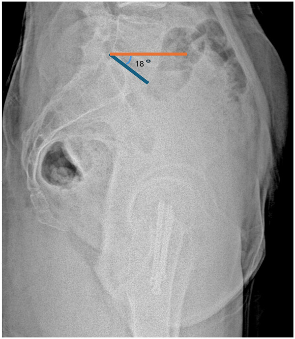 Figure 5