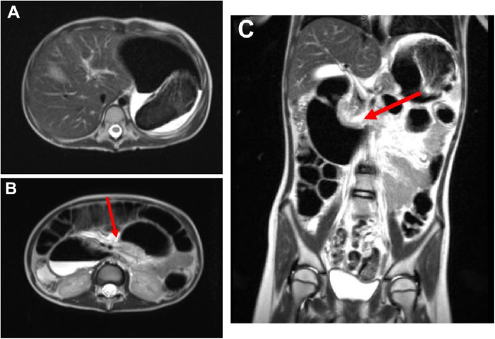 Figure 1