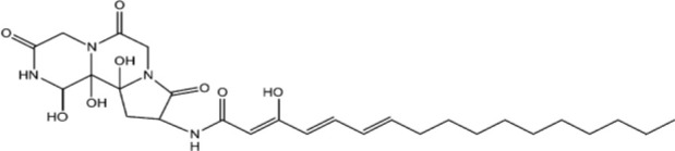 Figure 18