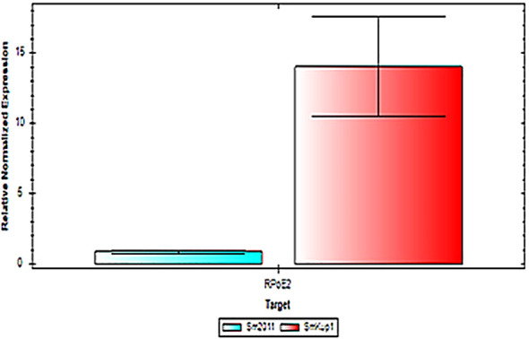Figure 4