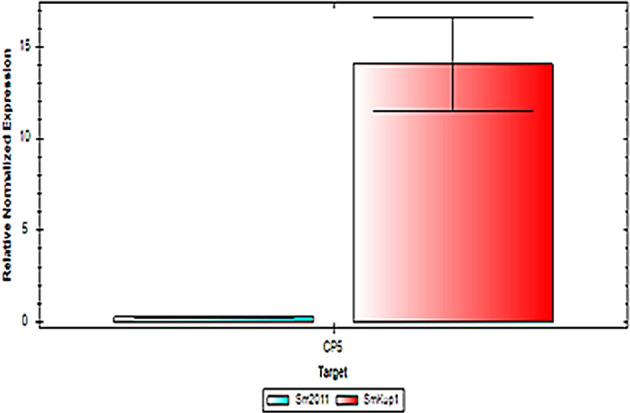 Figure 5