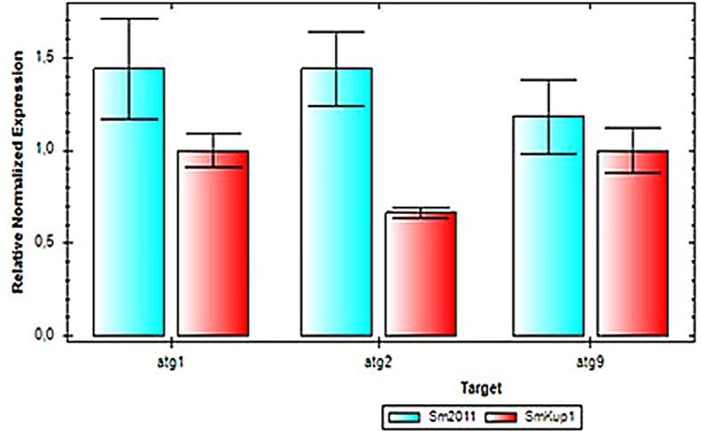 Figure 6