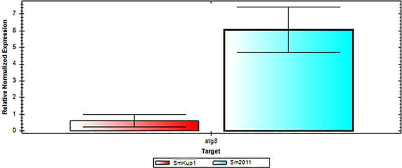 Figure 7