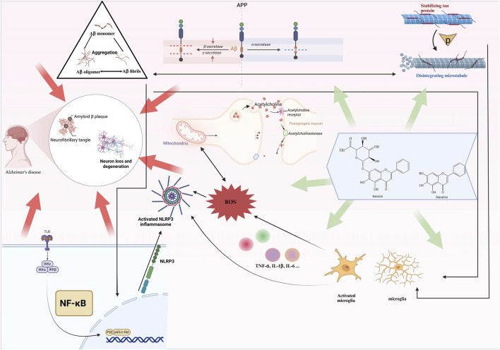 FIGURE 2