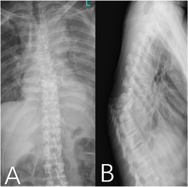 Figure 1