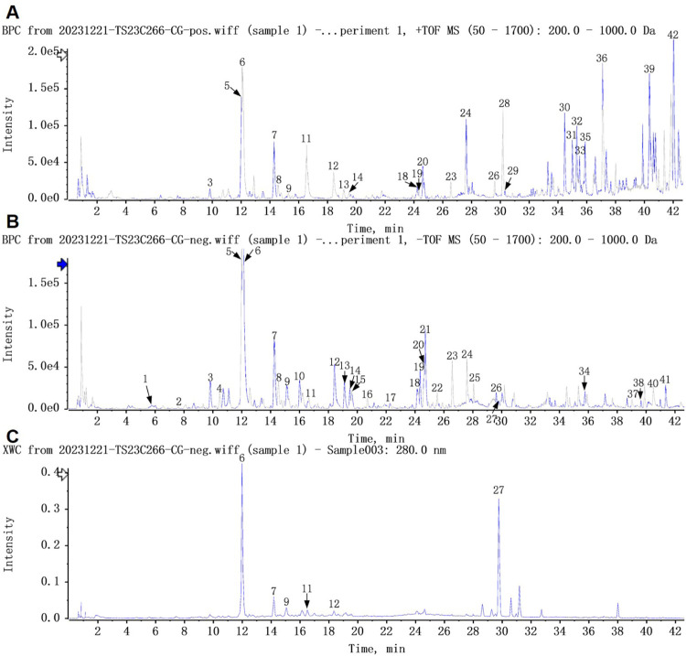 FIGURE 2
