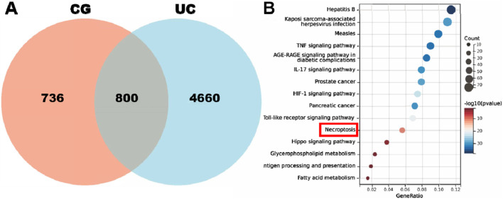 FIGURE 3