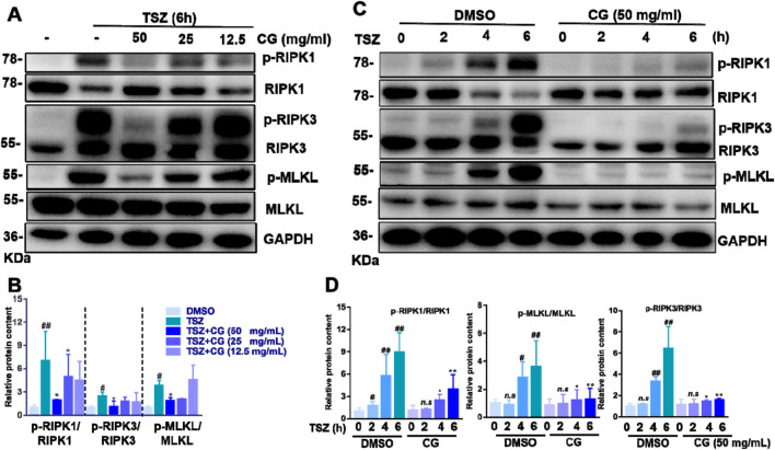 FIGURE 6