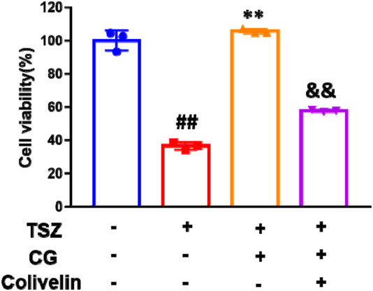 FIGURE 11