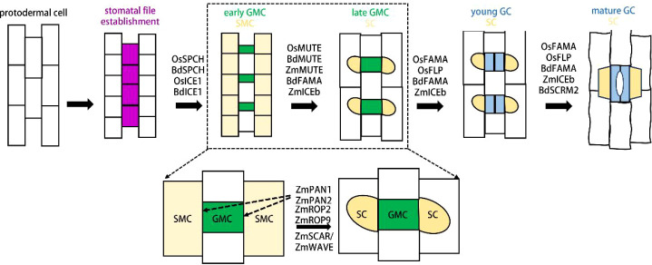 Figure 2