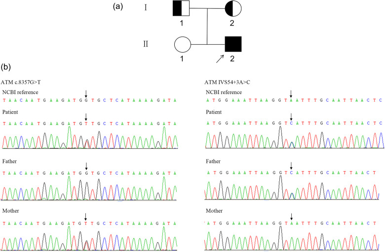 Figure 1