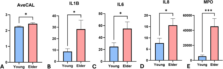Figure 1