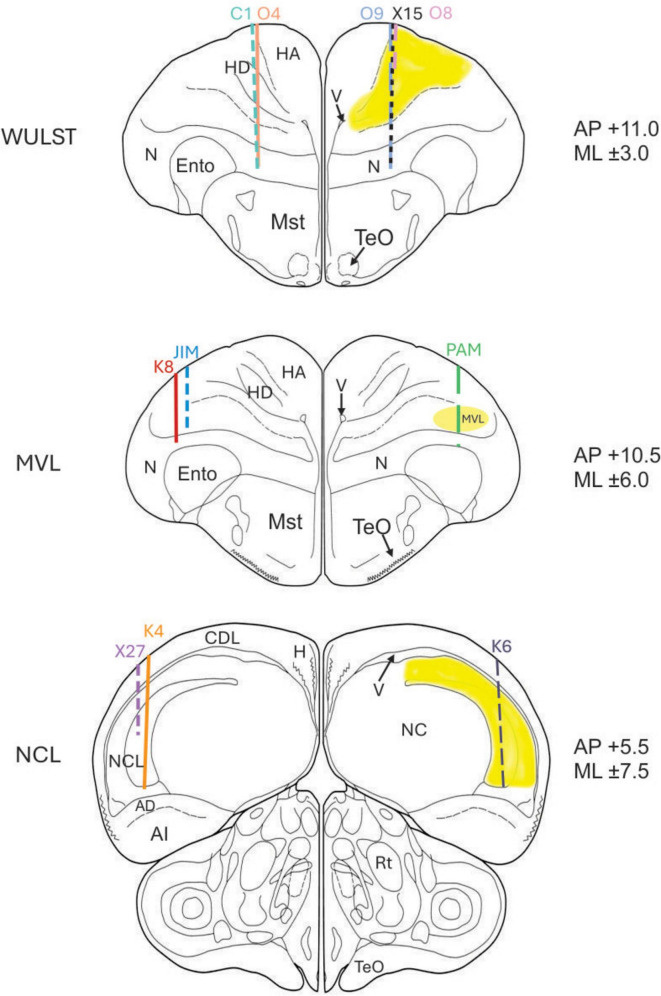 FIGURE 3