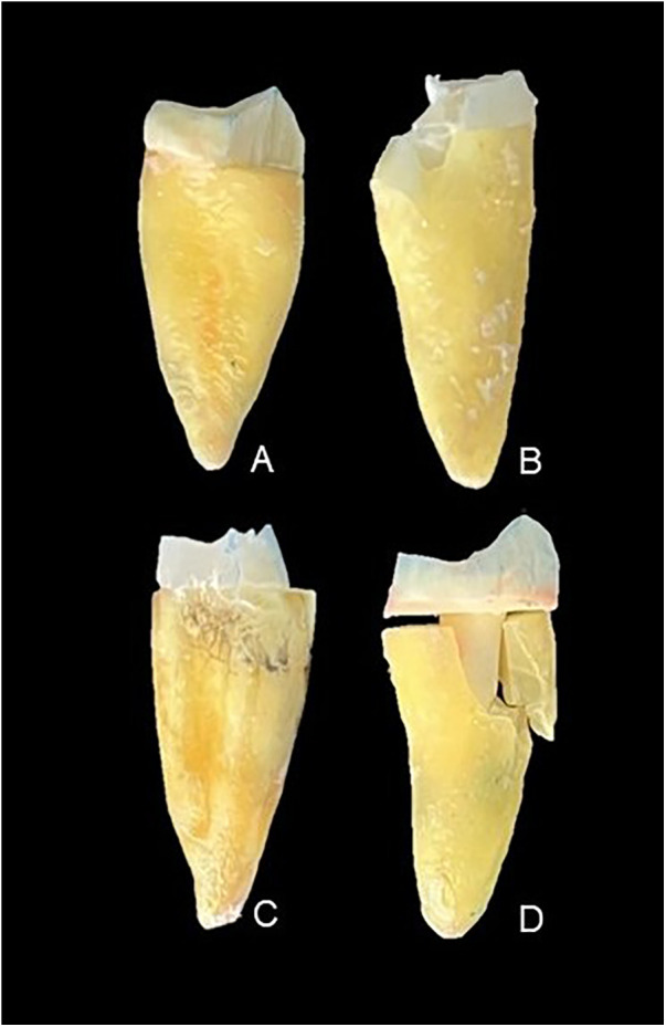 Figure 1