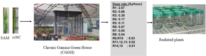 Figure 2