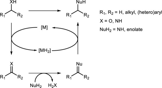 SCHEME 24