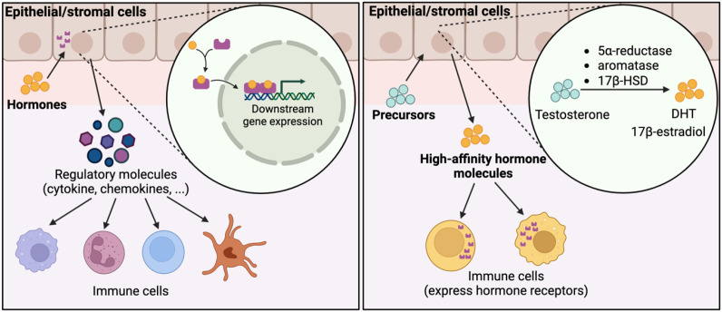 Figure 5