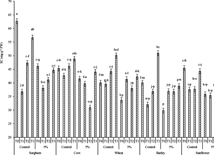 Figure 17